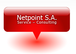 netpoint.sa_logo
